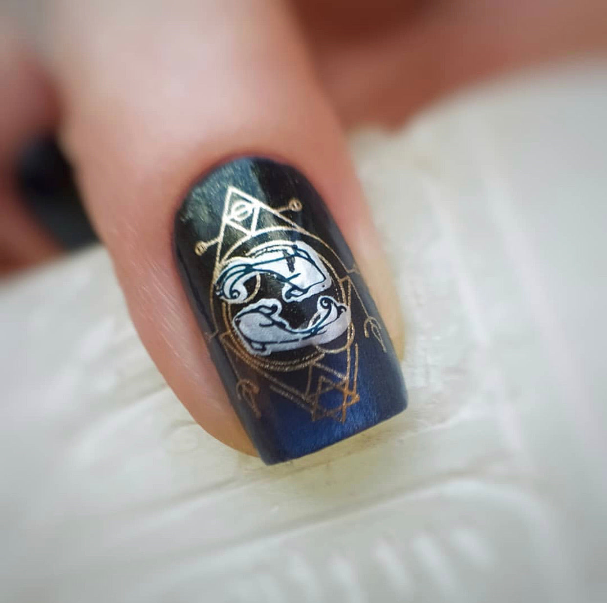 Pisces (CjSZ-13) Steel Stamping Plate 6x6 Clear Jelly Stamper