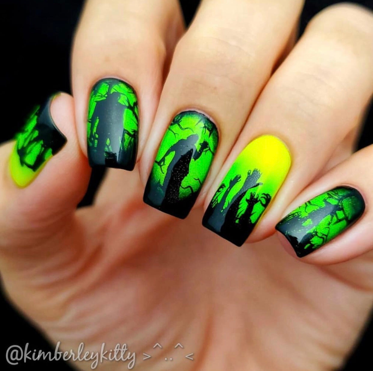 Wicked Halloween (CjS H-24) Steel Stamping Plate 14 x 9 Clear Jelly Stamper