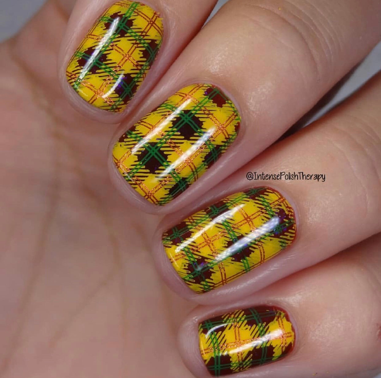 Pick of the Patch (CjS LC-56) Steel Stamping Plate 14 x 9 Clear Jelly Stamper