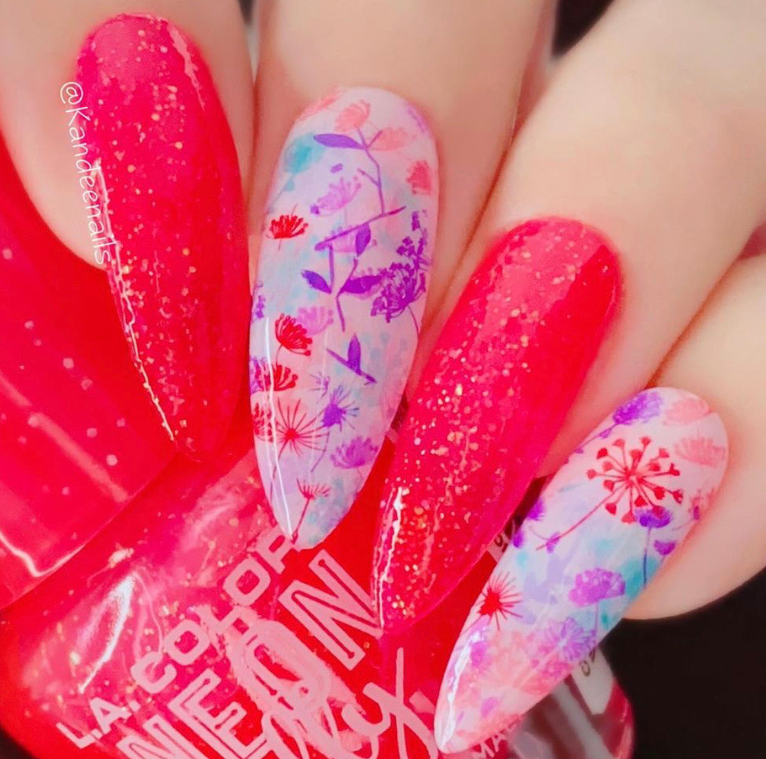 Feel Free (CjS-158) Steel Stamping Plate 8 x 8 Clear Jelly Stamper