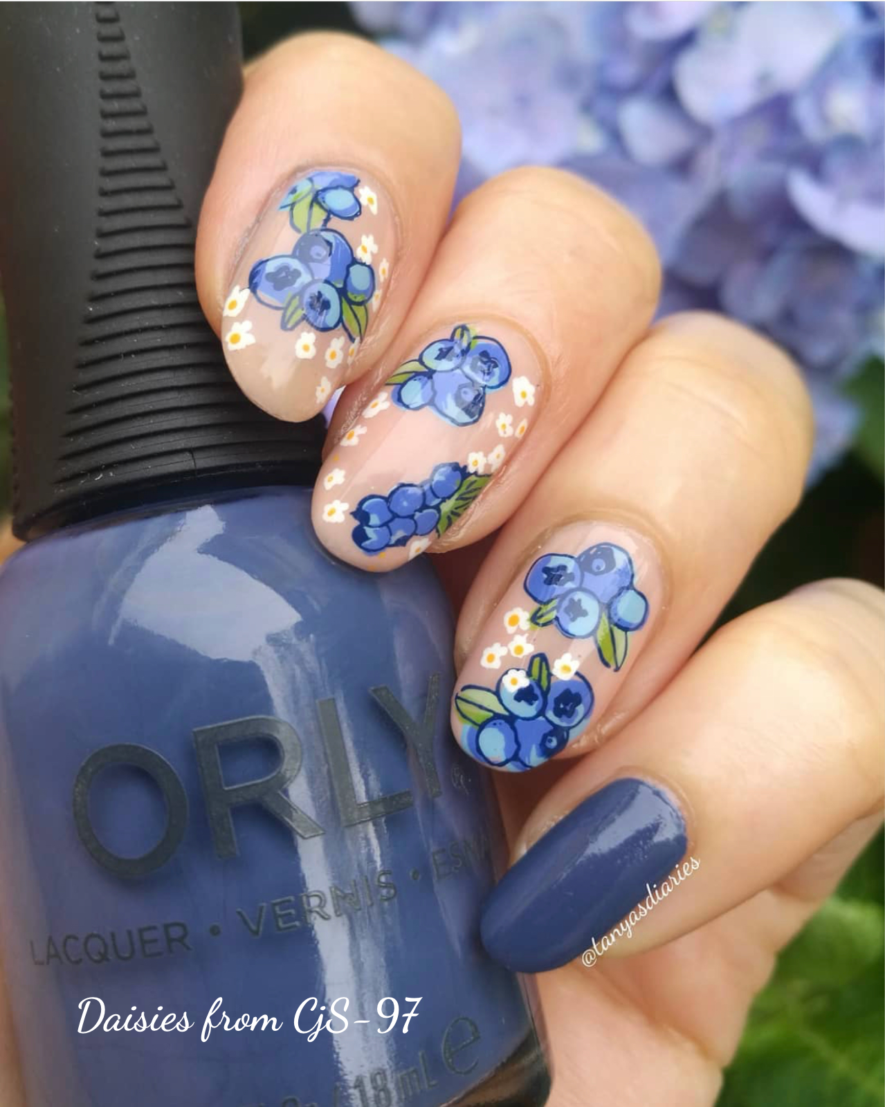Fruit Cocktail Collection - Tropical Sensation (CjS-211) Etched Nail Art Stamping Plate