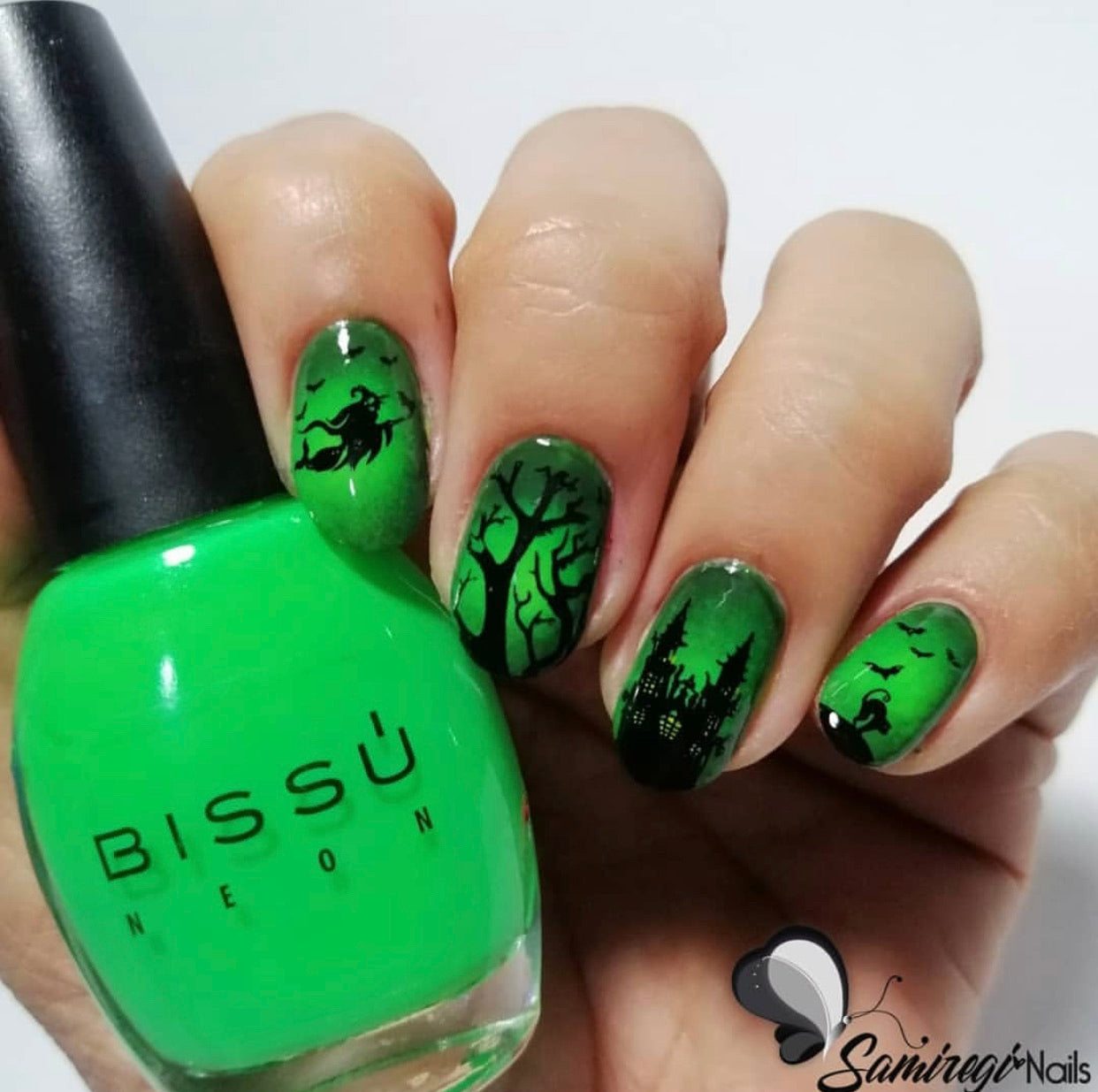 Be-Witched (CjSH-36) Steel Stamping Plate 14 x 9 Clear Jelly Stamper