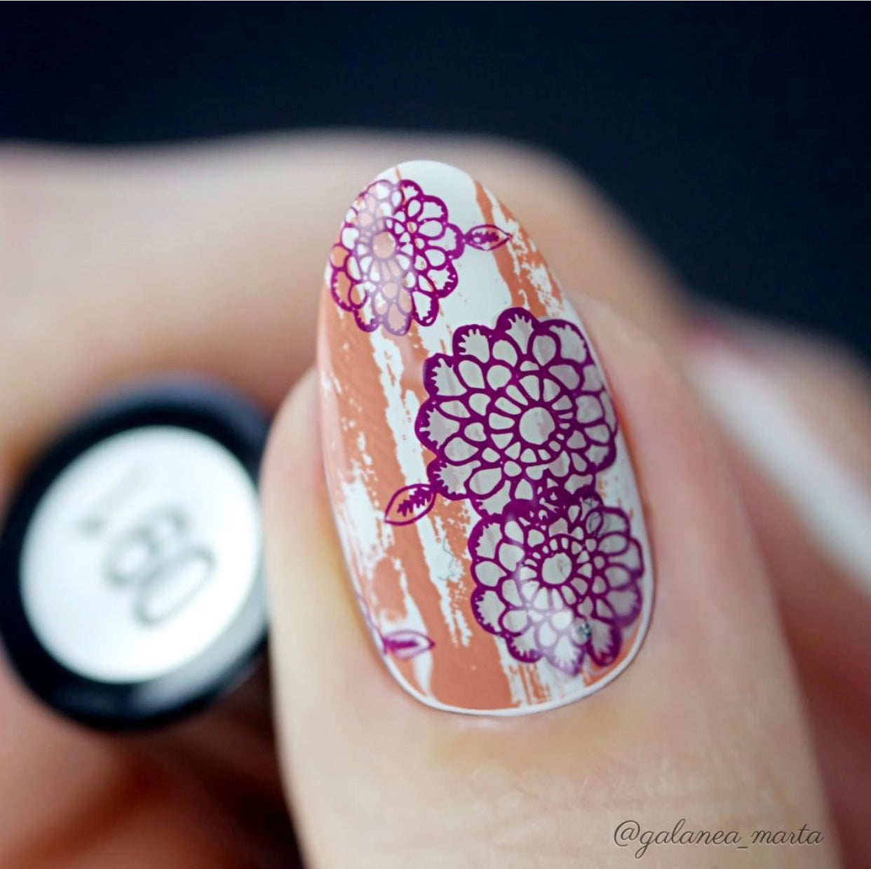 Grunge Series - Dainty (CjS-190) Steel Stamping Plate 14 x 9 Clear Jelly Stamper