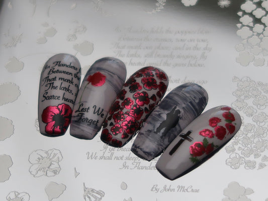 Flanders Fields (CjSH-26) Steel Stamping Plate 14 x 9 Clear Jelly Stamper