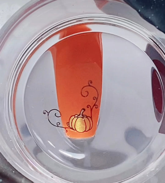 💅🏼PICKING UP FINE LINES💖 Clear Jelly Stamper