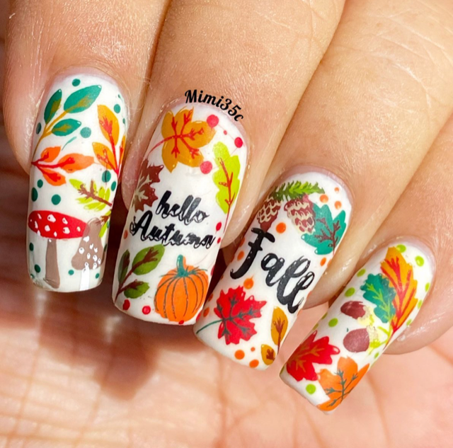 Fall & Autumn Collection