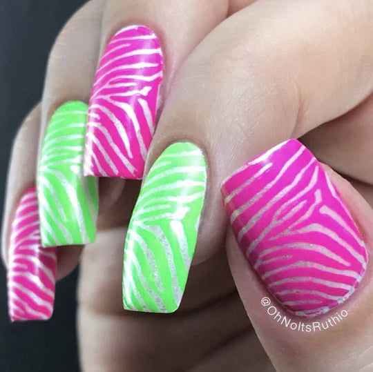 Prints & Paws!