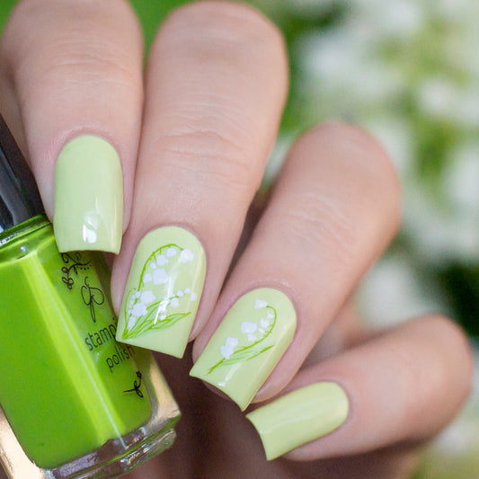 Spring Daisy (CjS-194) Etched Nail Art Stamping Plate