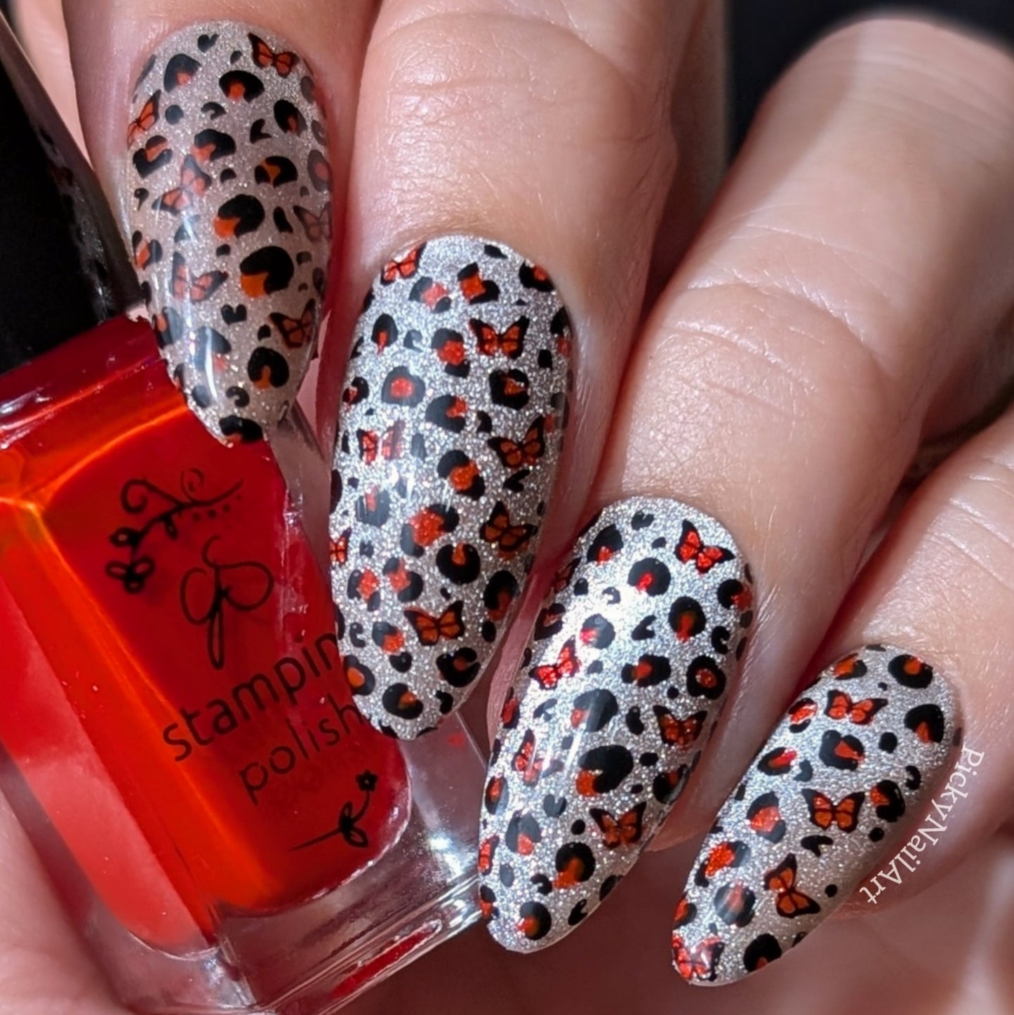Wild Wings (CjS-392) Steel Nail Art Layered Stamping Plate