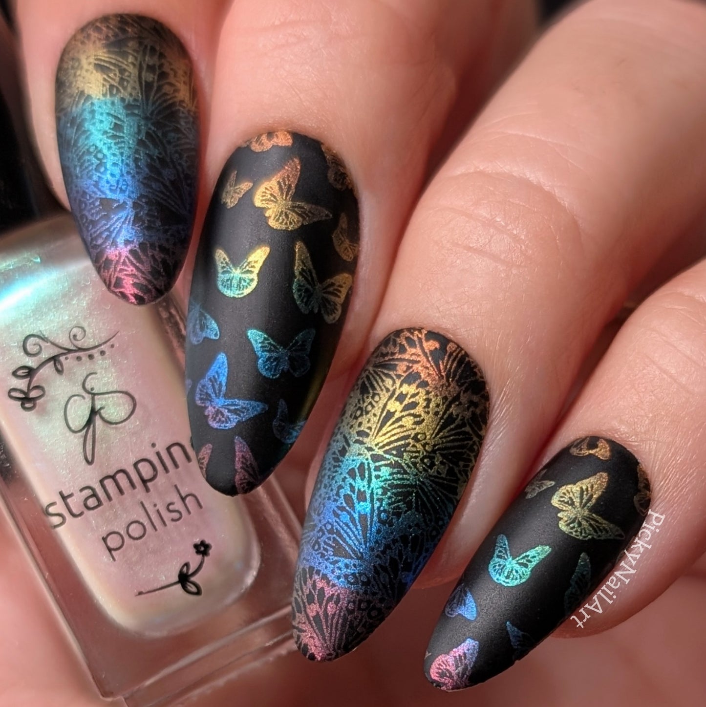 Wild Wings (CjS-392) Steel Nail Art Layered Stamping Plate