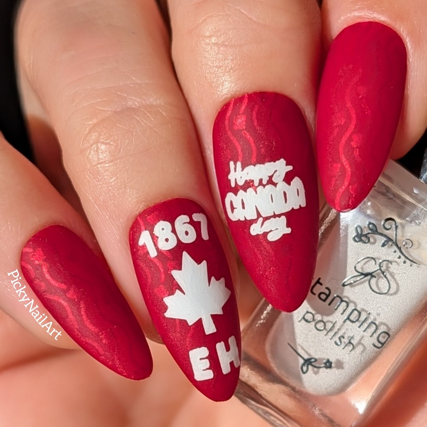 The Great Canadian Mix (CjSH-140) Etched Nail Art Stamping Plate