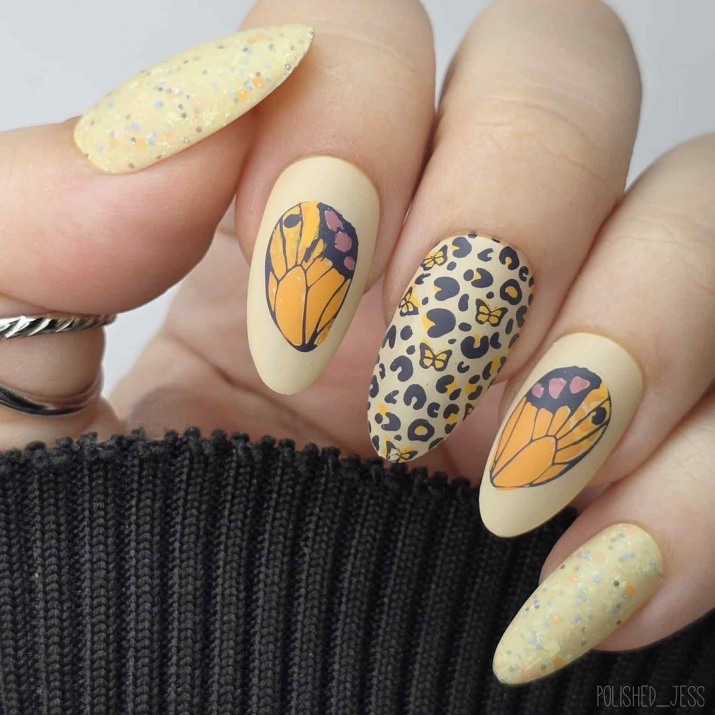 Wild Wings (CjS-392) Steel Nail Art Layered Stamping Plate