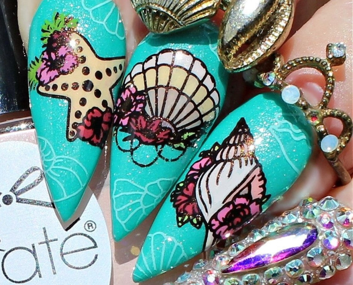 Shell Belle (BS-03) Steel Nail Art Stamping Plate