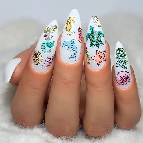 Shell Belle (BS-03) Steel Nail Art Stamping Plate