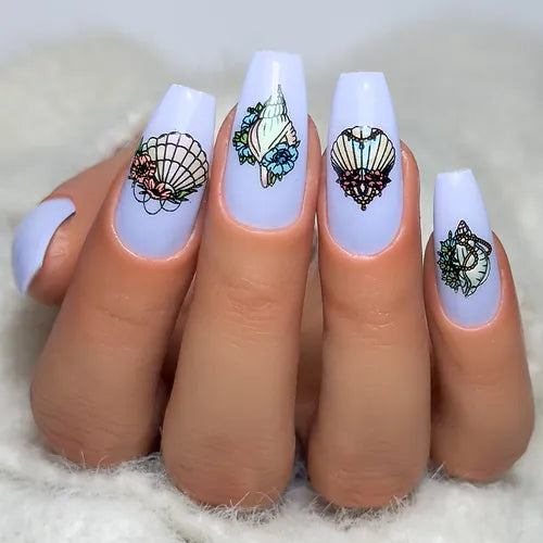 Shell Belle (BS-03) Steel Nail Art Stamping Plate