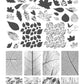 layered-nail-art-stamping-plate-showing-autumn-leaves-and-leaf-vein-full-coverage-patterns