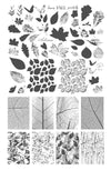 Graceful leaves (CjS-318) Steel Nail Art Layered Stamping Plate