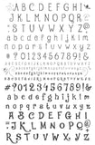 Alphabet - Jungle Boogie (CJS-333) Steel Nail Art Layered Stamping Plate