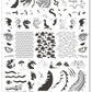 layered-nail-art-stamping-plate-with-colorful-dragon-designs-fire-and words-for-nail-art
