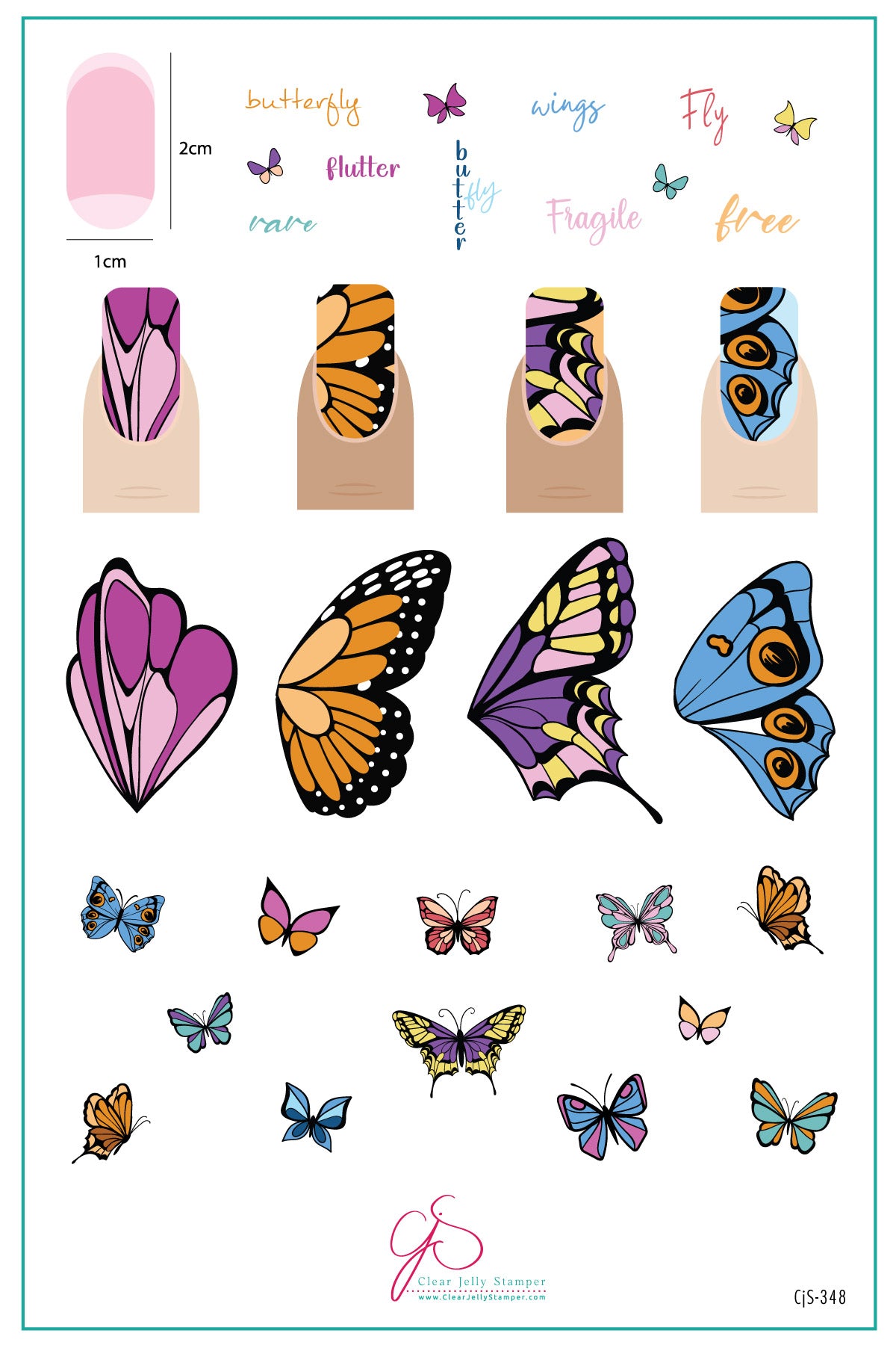 Butterfly Collection