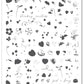 layered-nail-art-stamping-plate-with-designs-of- strawberry-plants-strawberries-butterflies-ladybirds-a-bumble-bee-and-words-for-nail-art