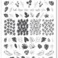 layered-nail-art-stamping-plate-showing-designs-of-tropical-leaves-palm-leaves-banana-leaves-and-words-for-nail-art