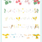 layered-nail-art-stamping-plate-how-to-card-showing-colorful-designs-of-tropical-birds-parrots-exotic-fruit-and-words-for-nail-art