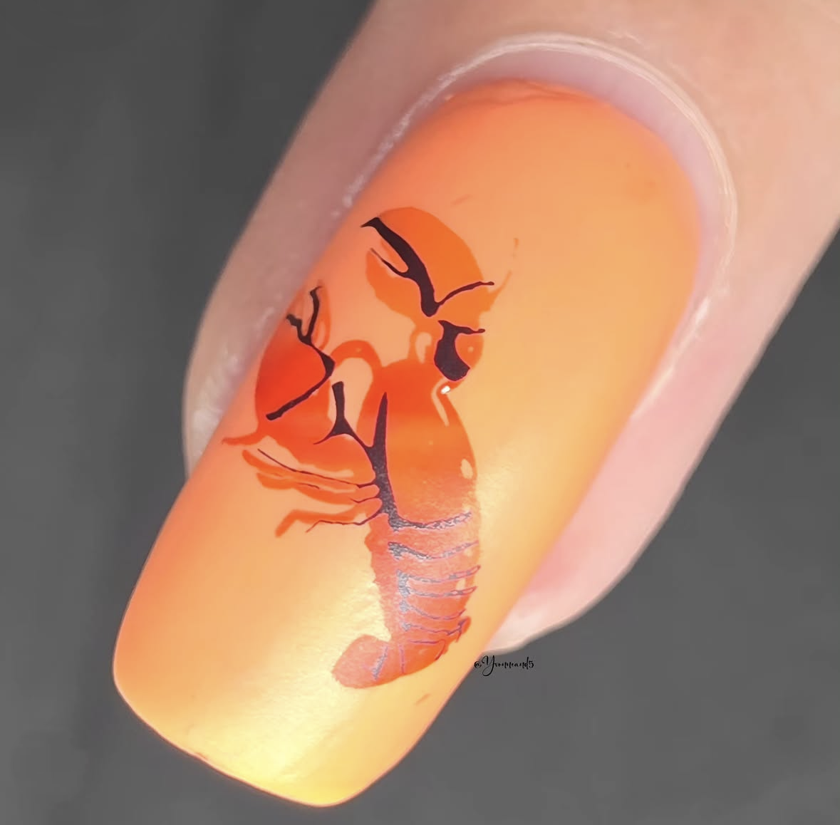 Call Me If You Get Lost (CjS-378) Etched Nail Art Stamping Plate