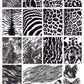 Fur-ever Flutter (CjS-387) Steel Nail Art Layered Stamping Plate