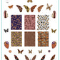 Wild Wings (CjS-392) Steel Nail Art Layered Stamping Plate