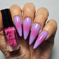 Confetti Chic (CjS-393) Etched Nail Art Stamping Plate