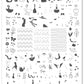 Silly Goose (CjS-396) Etched Nail Art Stamping Plate
