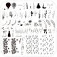 Lavender Grove (CjS-397) Etched Nail Art Stamping Plate