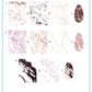 Marble Crush (CjS-405) Etched Nail Art Stamping Plate