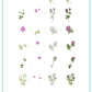Pretty Clover (CjSH-105) Steel Nail Art Layered Stamping Plate