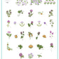 Pretty Clover (CjSH-105) Steel Nail Art Layered Stamping Plate