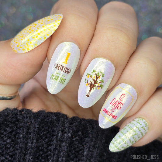 The 12 Days of Christmas (CjSLE02) Steel Nail Art Layered Stamping Plate