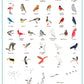 Talk Birdie to Me Bundle