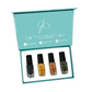 Stamping Polish Kit - Fall Fever (4 colors)