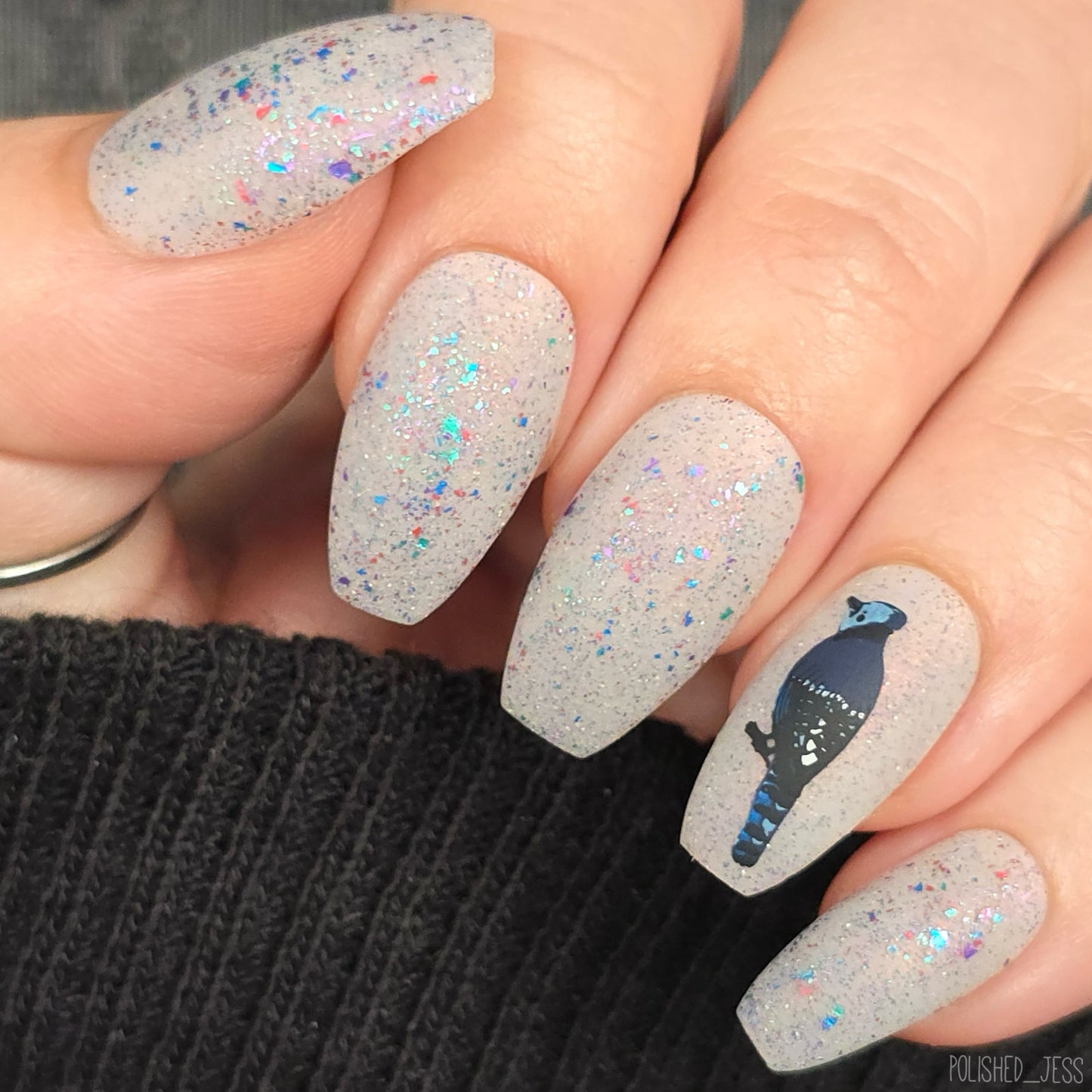 Talk Birdy To Me (CjSLC-103) Etched Nail Art Stamping Plate