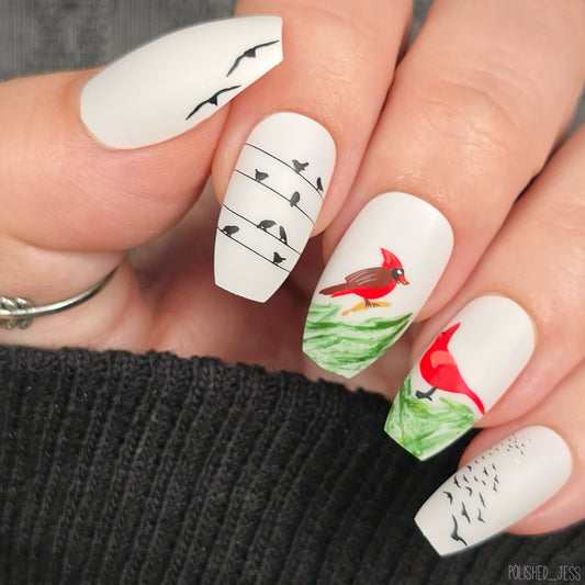Talk Birdy To Me (CjSLC-103) Etched Nail Art Stamping Plate
