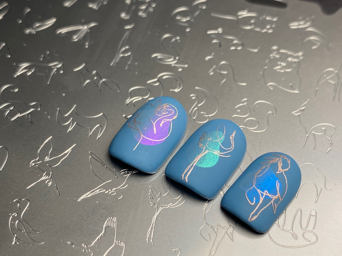 Mod Life Series - Animal Kingdom (CjS-407) Etched Nail Art Stamping Plate