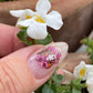Cool Cowgirl (CjS-415) Etched Nail Art Stamping Plate