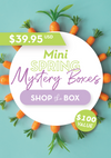 Clear Jelly Spring Mystery Boxes