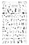 Mystical (CjS-294) Steel Nail Art Stamping Plate