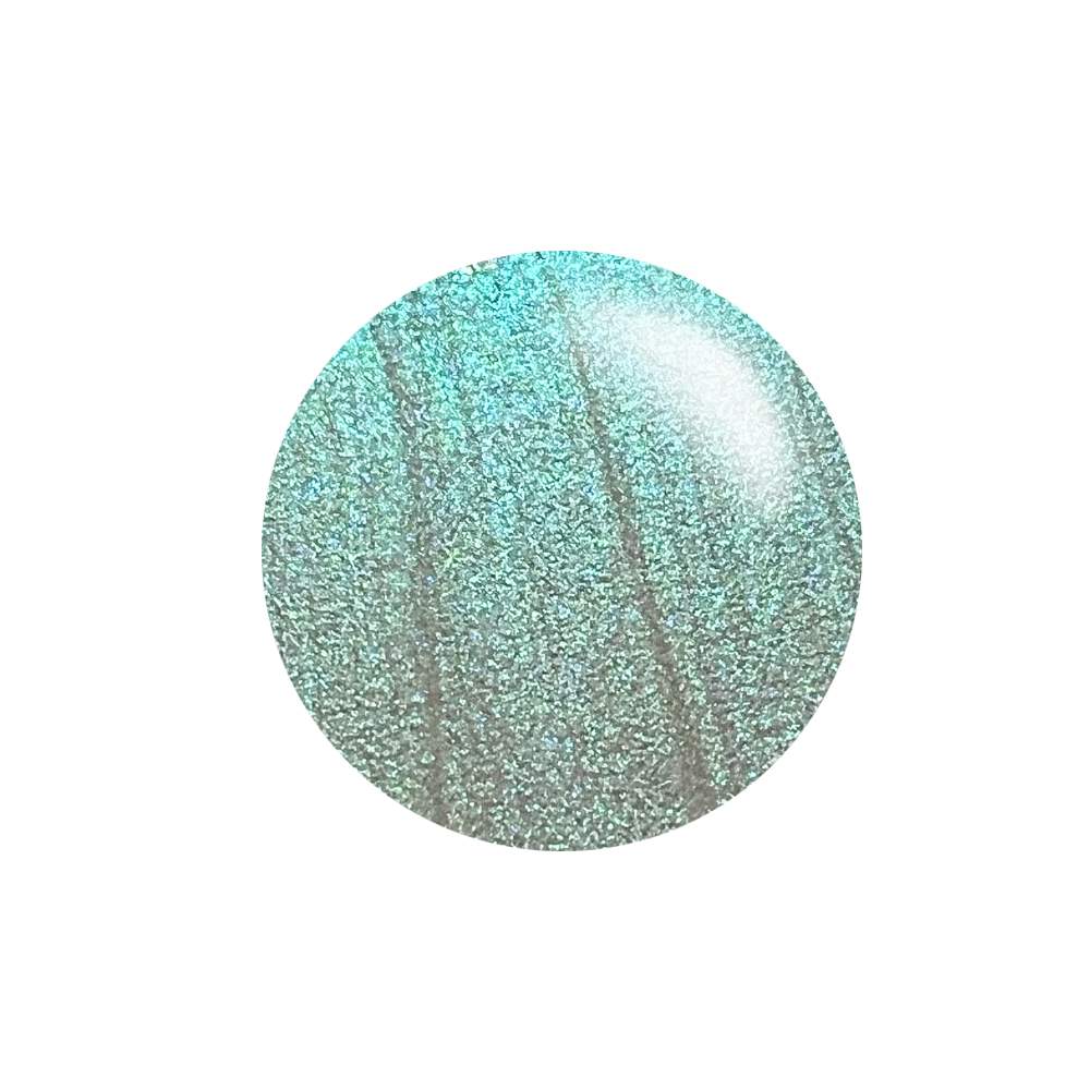 #PT04 - Prismatic Tint - Magnetic Moss - Nail Stamping Color (5 Free Formula)