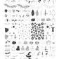 Patterned Halloween (CjSH-95) Steel Nail Art Layered Stamping Plate
