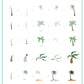 layered-nail-art-stamping-plate-how-to-card-with-colorful-designs-of-palm-trees-palm-leaves-and-words-for-nail-art