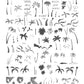 layered-nail-art-stamping-plate-with-designs-of-palm-trees-palm-leaves-and-words-for-nail-art