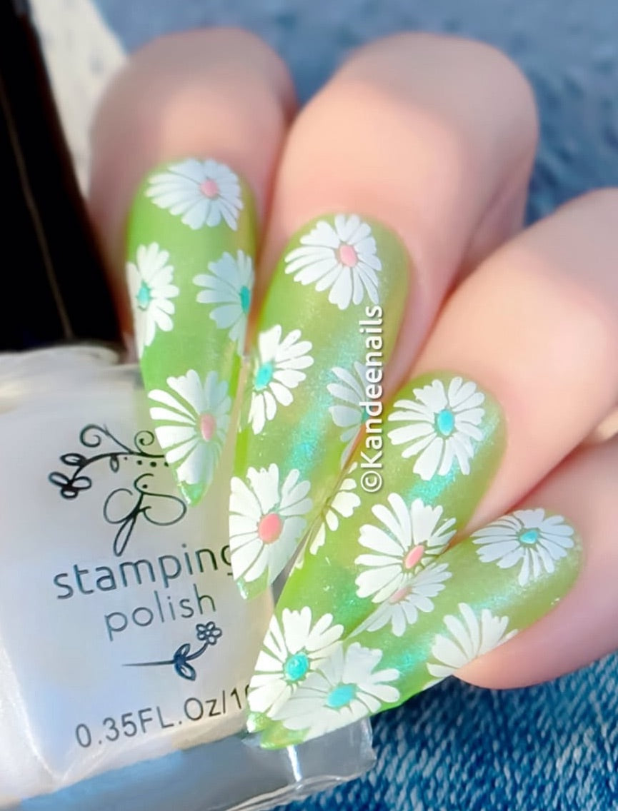Crazy for Daisies (CjS-385) Etched Nail Art Stamping Plate – Clear